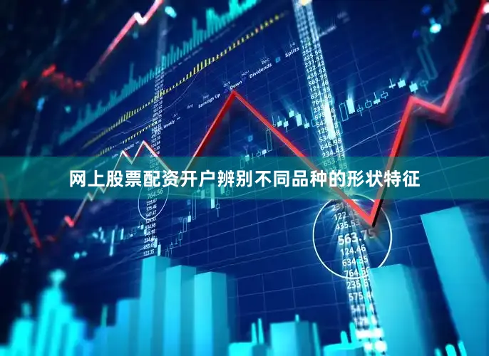 网上股票配资开户辨别不同品种的形状特征