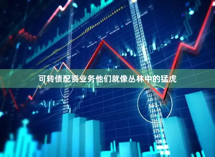 可转债配资业务他们就像丛林中的猛虎